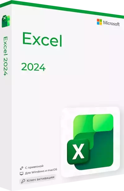Microsoft Excel 2024