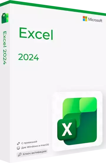 Microsoft Excel 2024