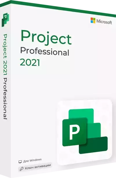 Microsoft Project 2021 Professional