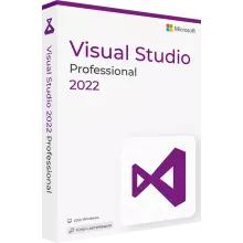 Visual Studio 2022 Professional