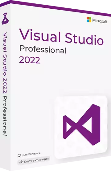 Visual Studio 2022 Professional
