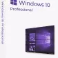 Microsoft Windows 10 Professional