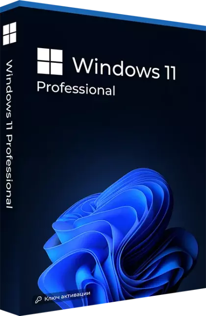 Microsoft Windows 11 Professional