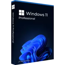 Microsoft Windows 11 Professional