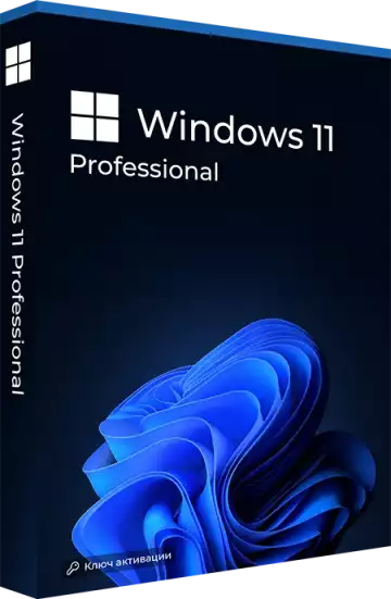Microsoft Windows 11 Professional