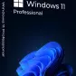 Microsoft Windows 11 Professional
