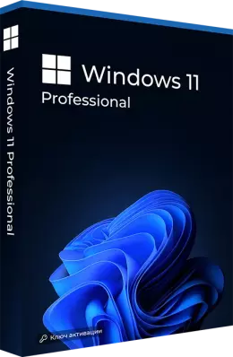 Microsoft Windows 11 Professional