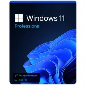Microsoft Windows 11 Professional