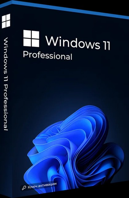Microsoft Windows 11 Professional