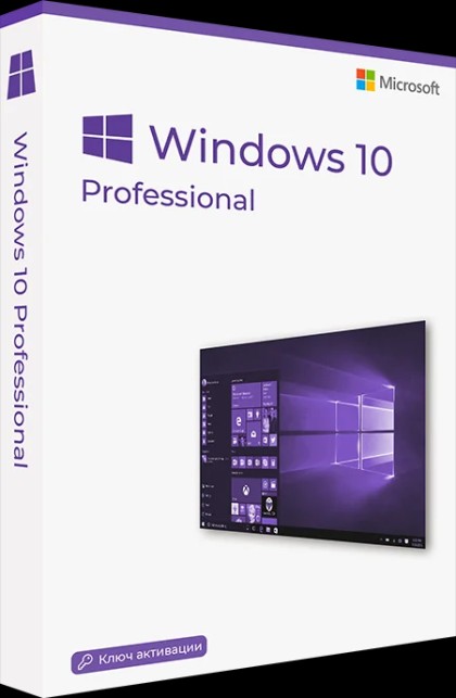 Microsoft Windows 10 Professional