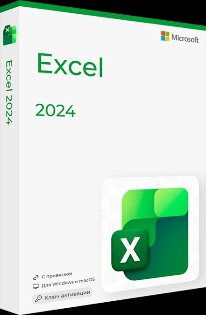 Microsoft Excel 2024